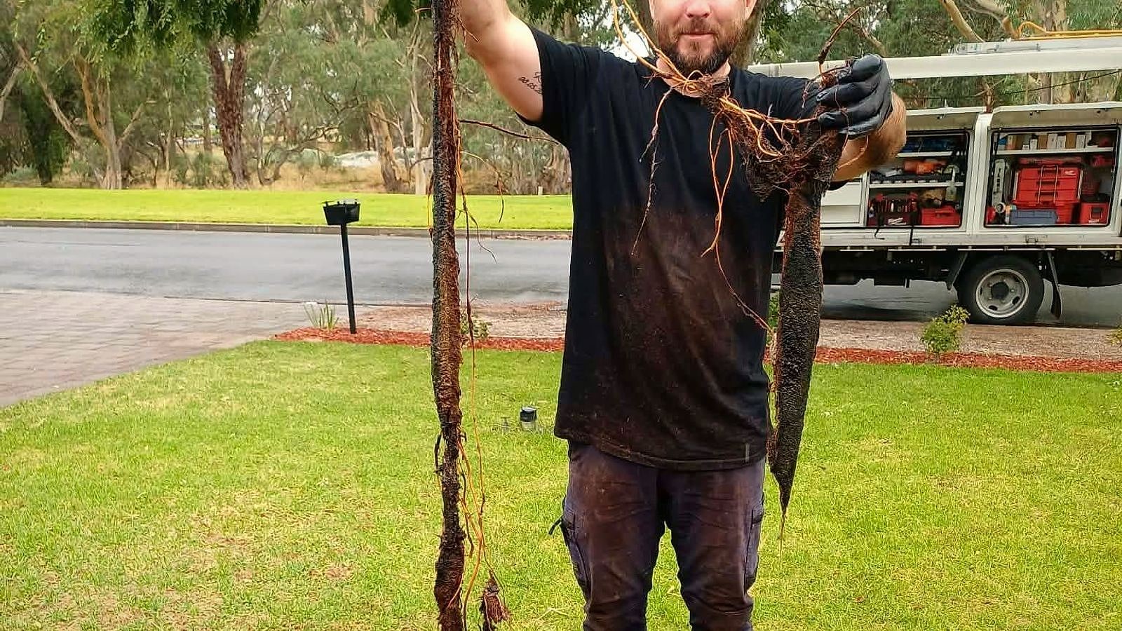 Ben Brown holding tree roots pulled from a blocked drain